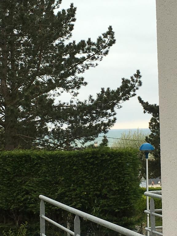 Gite Les Falaises De Criel クリエル・シュル・メール エクステリア 写真